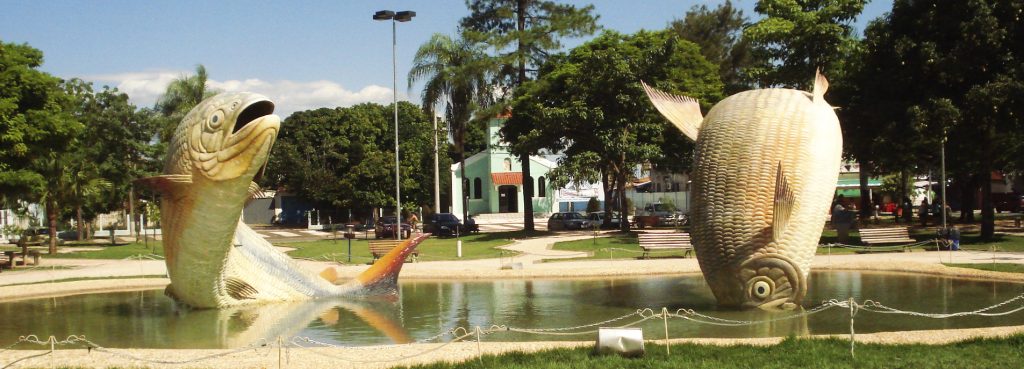 Central-West Brazil